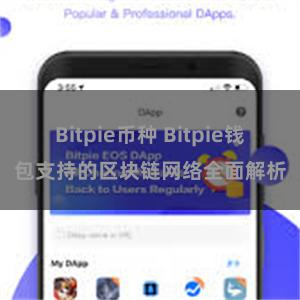 Bitpie币种 Bitpie钱包支持的区块链网络全面解析