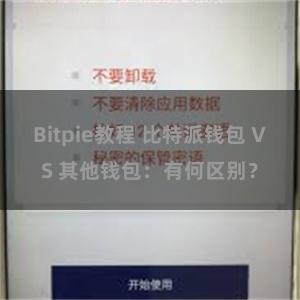 Bitpie教程 比特派钱包 VS 其他钱包：有何区别？