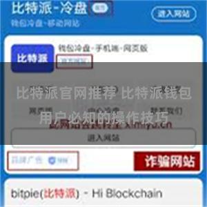 比特派官网推荐 比特派钱包用户必知的操作技巧