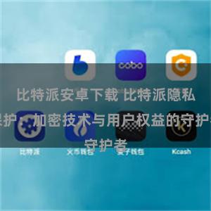 比特派安卓下载 比特派隐私保护：加密技术与用户权益的守护者