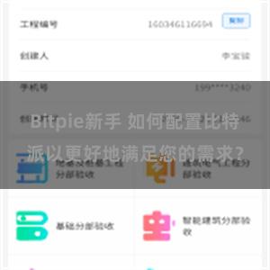 Bitpie新手 如何配置比特派以更好地满足您的需求？