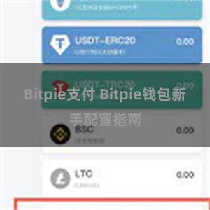 Bitpie支付 Bitpie钱包新手配置指南