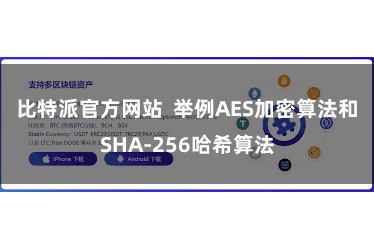 比特派官方网站  举例AES加密算法和SHA-256哈希算法